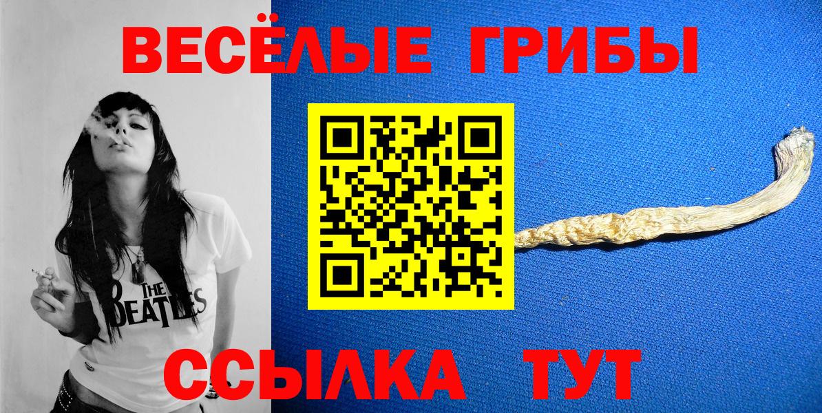 Коряжма  Галлюциногенные грибы ЛСД  Вход с VPN  Галлюциногенные грибы мицелий 